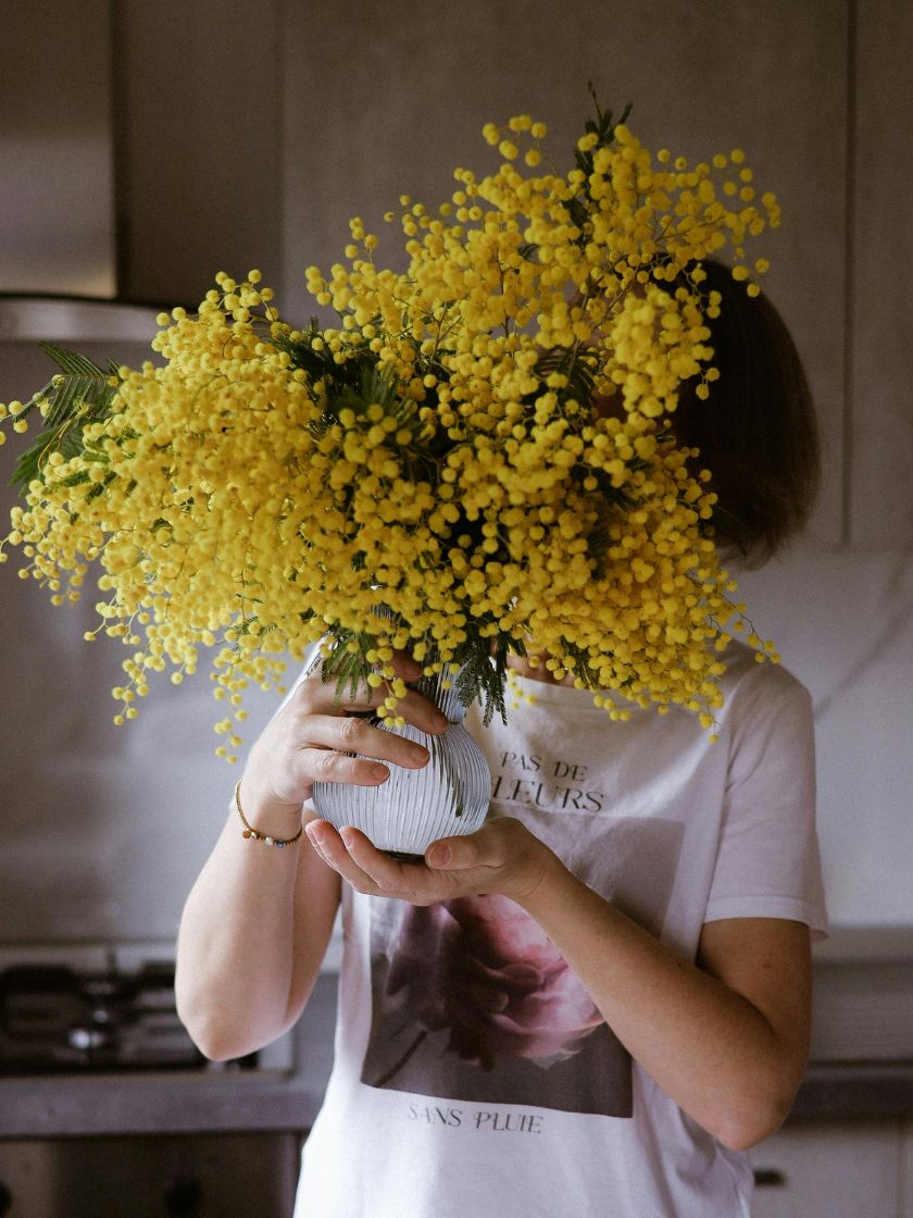 Alleine wohnen - wien.immer